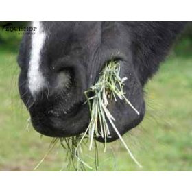 EQUIMINS APRÍTOTT LUCERNA 20KG