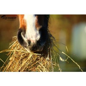 EQUIMINS APRÍTOTT SZÉNA 20KG