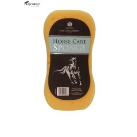 CARR&DAY&MARTIN SZIVACS