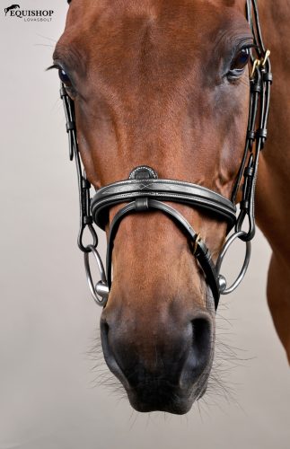 KANTÁR DYON D FLASH