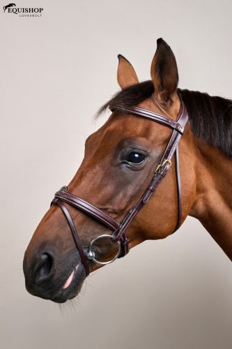 KANTÁR DYON D FLASH