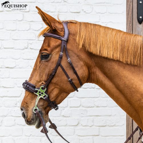 KANTÁR DYON NEW ENGLISH HACKAMORE