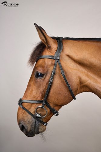 KANTÁR DYON NEW ENGLISH X-FIT