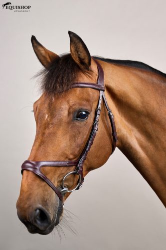 KANTÁR DYON NEW ENGLISH X-FIT