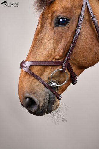 KANTÁR DYON NEW ENGLISH X-FIT