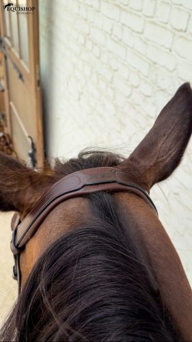 KANTÁR DYON SOFT FLASH