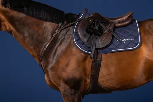 SZÜGYELŐ DYON US BRIDGE