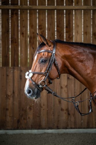 KANTÁR DYON WORKING MEXIKÓI