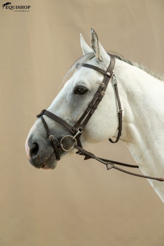 KANTÁR DYON WORKING FLAT KARABÍNERES