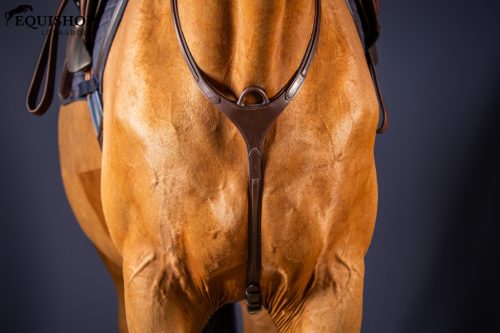 SZÜGYELŐ DYON NEW ENGLISH BRIDGE