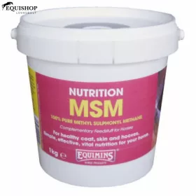 EQUIMINS MSM– Metil Szulfonil Metán
