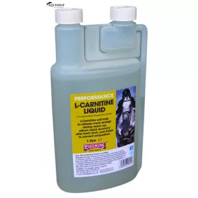 EQUIMINS L-CARNITINE LIQUID – L-karnitin oldat 1L