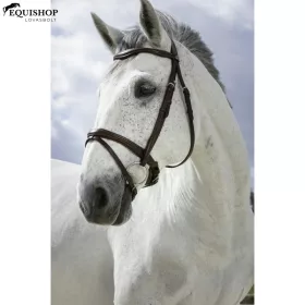 KANTÁR NORTON PRO COMBINE