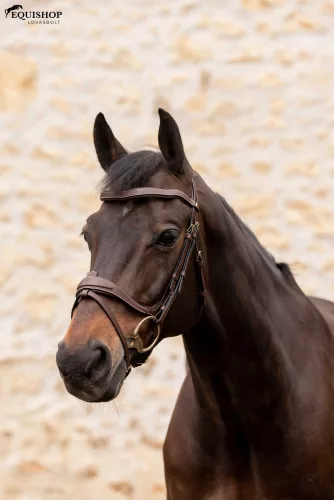 KANTÁR K BY EQUITHEME K-KONTOUR