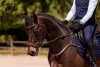 KANTÁR K BY EQUITHEME K-KADENCE