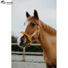 KÖTŐFÉK EQUITHEME OPAL