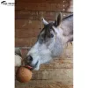 UNIKA BALL ENDURANCE 1,8KG