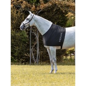 SZÜGYVÉDŐ TAKARÓ ALÁ  EQUILINE EDINBURGH