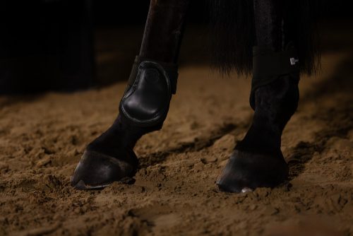 BOKAVÉDŐ ESKADRON DYNAMIC MESH