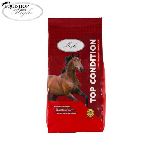 MEGLIO TOP CONDITION 20KG