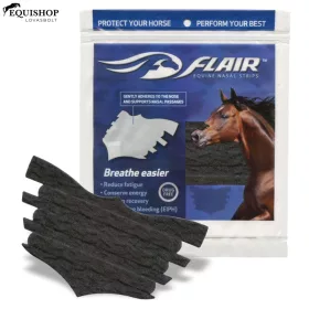 ORRTAPASZ FLAIR 6DB