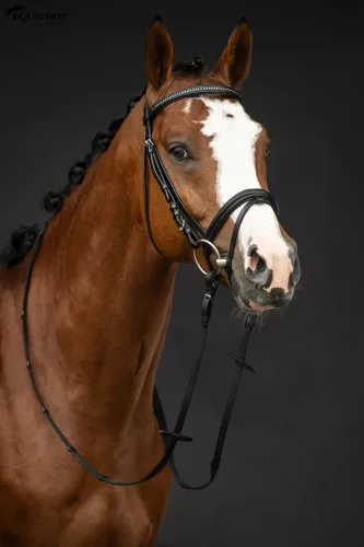 KANTÁR HKM ECONOMIC