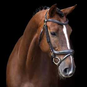 KANTÁR IMPERIAL RIDING CURVED