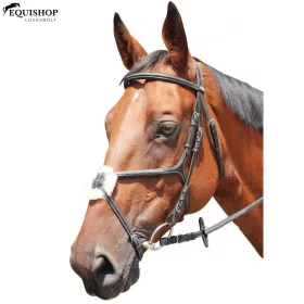 KANTÁR KENTAUR KNOXVILLE