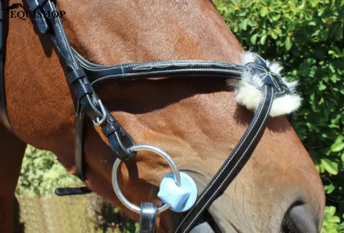 KANTÁR KENTAUR KNOXVILLE