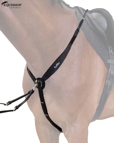 SZÜGYELŐ KENTAUR NAPOLI