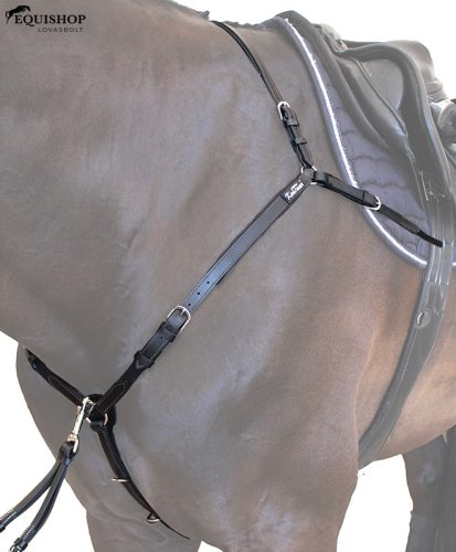 SZÜGYELŐ KENTAUR MONS