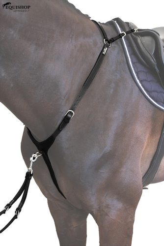 SZÜGYELŐ KENTAUR ARRAS