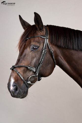 KANTÁR DYON NEW ENGLISH BRAIDED FLASH