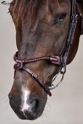 KANTÁR DYON NEW ENGLISH BRAIDED FLASH