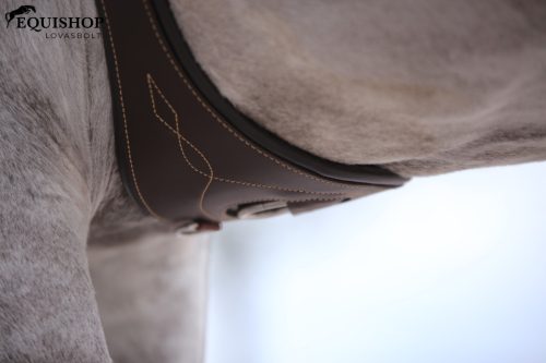 HEVEDER KENTUCKY ANATOMIC