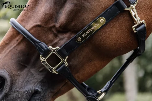 KÖTŐFÉK KENTUCKY BŐR ANATOMIC