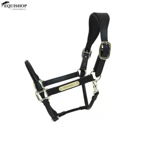 KÖTŐFÉK KENTUCKY BŐR ANATOMIC
