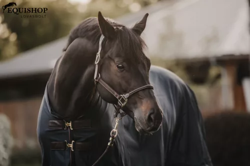 KÖTŐFÉK KENTUCKY BŐR ANATOMIC