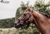 KÖTŐFÉK KENTUCKY PLAITED NYLON