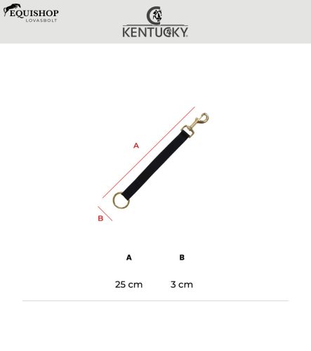 VÖDÖRTARTÓ KENTUCKY KARABÍNERES