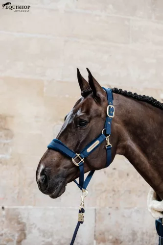 KÖTŐFÉK KENTUCKY VELVET