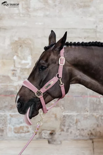 KÖTŐFÉK KENTUCKY VELVET