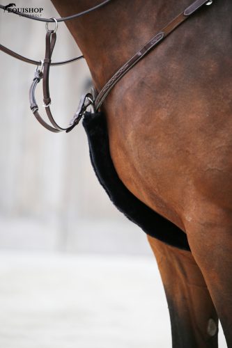 SZÜGYELŐVÉDŐ KENTUCKY BÁRÁNYSZŐR