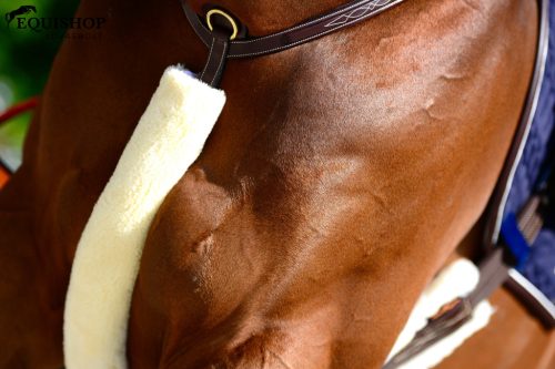 SZÜGYELŐVÉDŐ KENTUCKY BÁRÁNYSZŐR