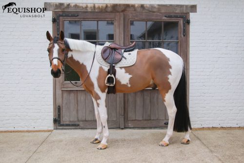 NYEREGALÁTÉT KENTUCKY MELANGE