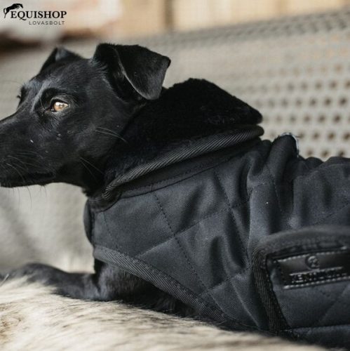 KUTYATAKARÓ KENTUCKY ORIGINAL