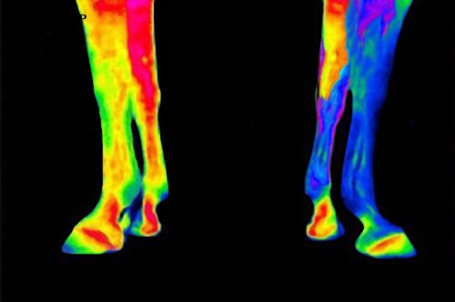 LÁBVÉDŐ KENTUCKY MAGNETIC RECUPTEX