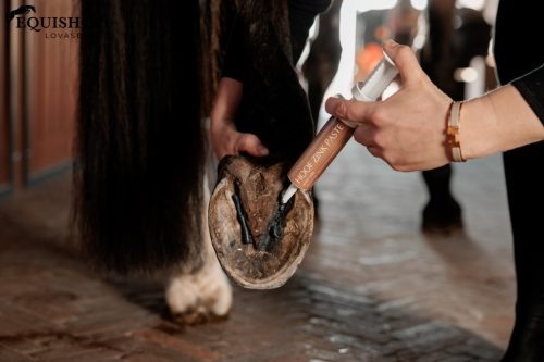 PATAÁPOLÓ PASZTA GROOMING DELUXE ZINK 60ML