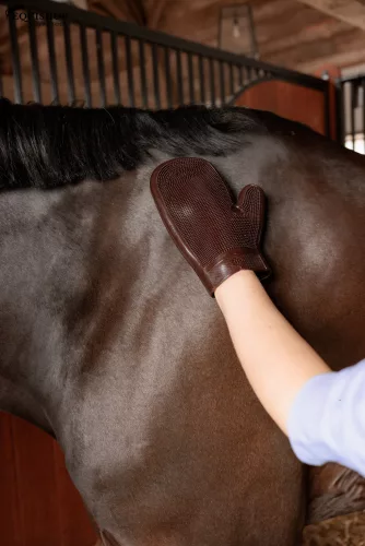 ÁPOLÓKESZTYŰ KENTUCKY