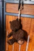 LÓJÁTÉK KENTUCKY BEAR